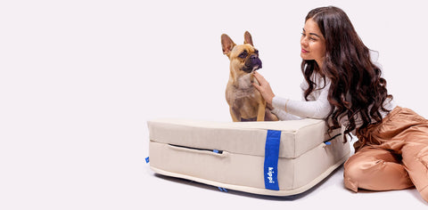 Kippi Modular Dog Bed